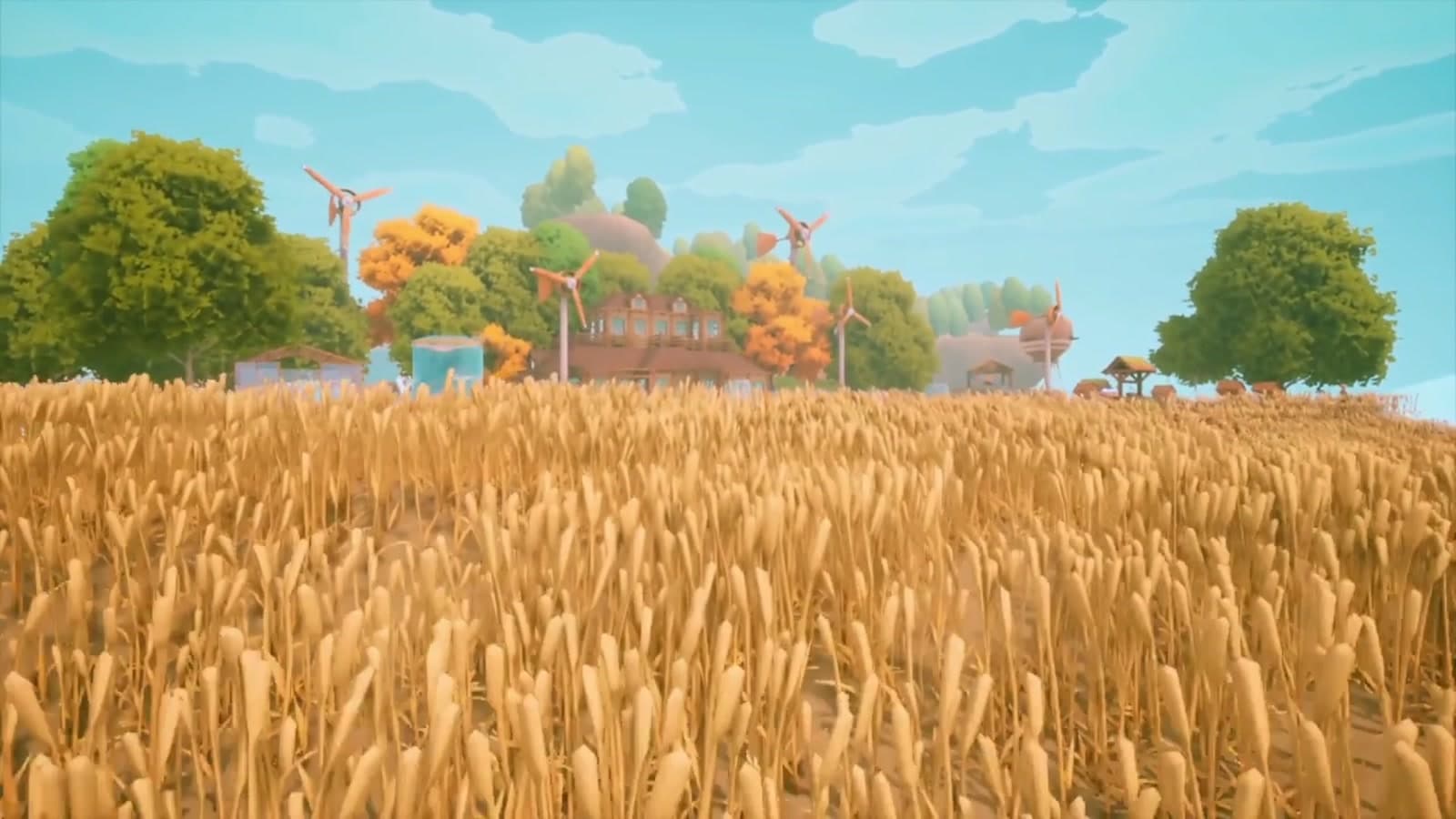 Open fields
